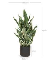 Get Your Green Sansevieria Bogenhanf Kunstpflanze aus recycelten Materialien in der Detailansicht