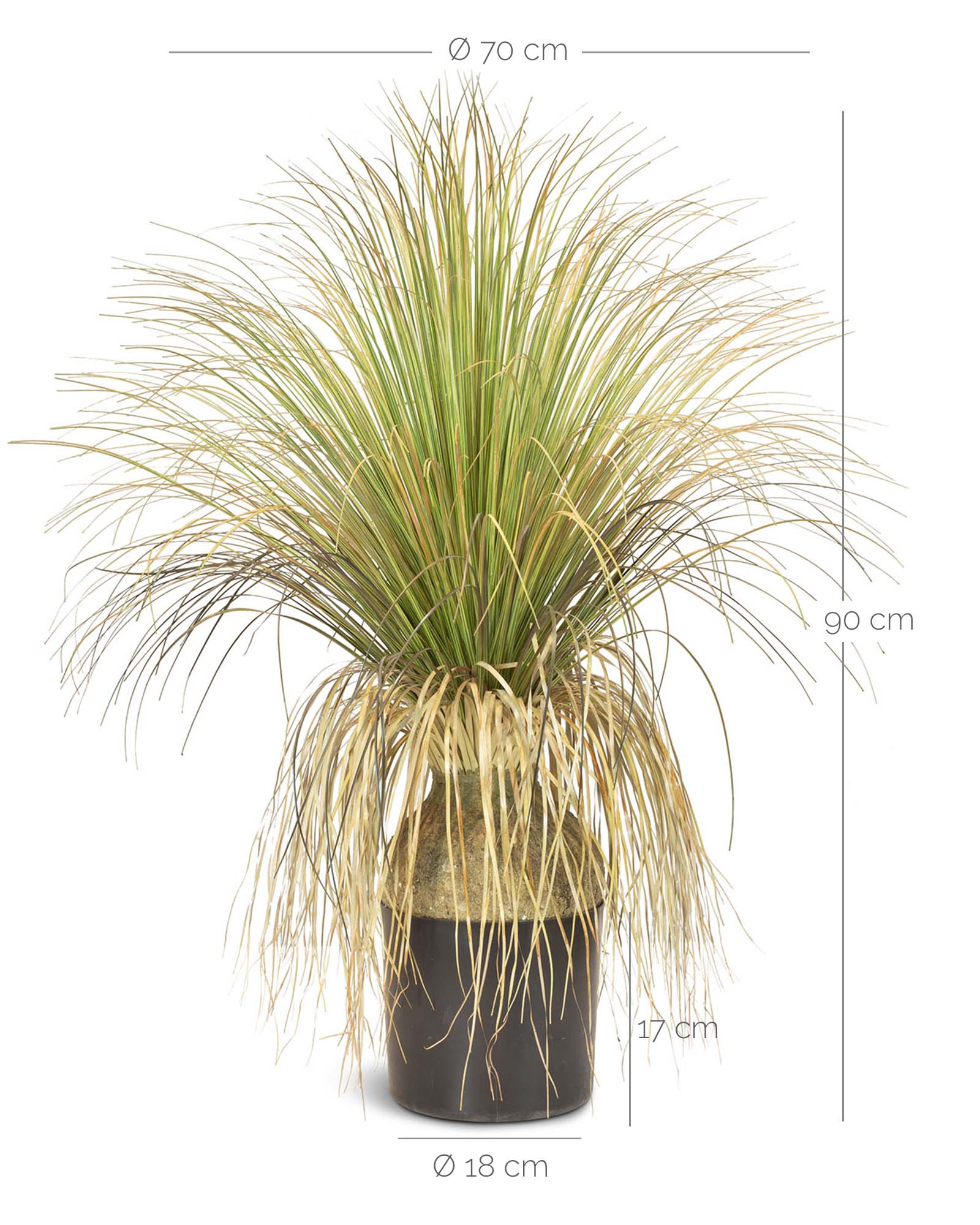 Gras - Calibanus hooker Kunstpflanze