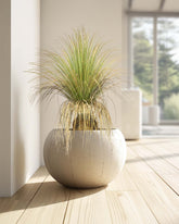 Gras - Calibanus hooker Kunstpflanze