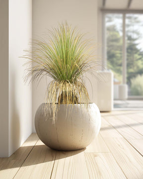 Gras - Calibanus hooker Kunstpflanze