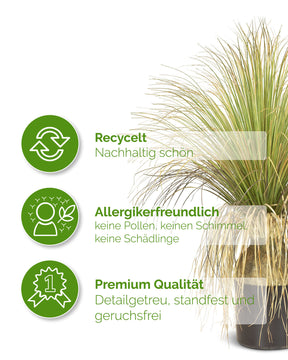 Gras - Calibanus hooker Kunstpflanze