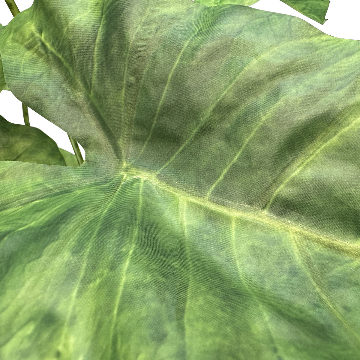 Zebra-Elefantenohr - Alocasia Zebrina Kunstpflanze