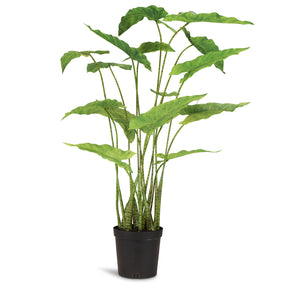 Zebra-Elefantenohr - Alocasia Zebrina Kunstpflanze