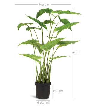 Kleine Alocasia Zebrina Kunstpflanze Zebra-Elefantenohr Detailansicht der gemusterten Stiele und Blätter