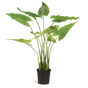 Zebra-Elefantenohr - Alocasia Zebrina Kunstpflanze