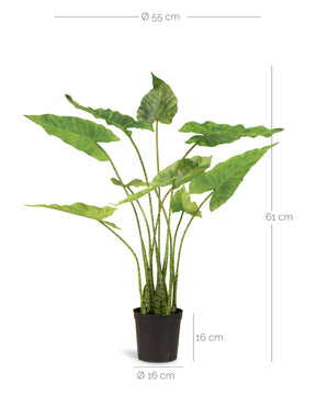 Detailansicht der Alocasia Zebrina Kunstpflanze mit charakteristisch gemusterten Stielen und Blättern