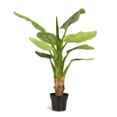 Bananenbaum Kunstpflanze