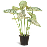 Alocasia - Elefantenohr Kunstpflanze