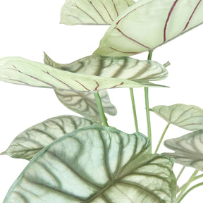 Alocasia - Elefantenohr Kunstpflanze