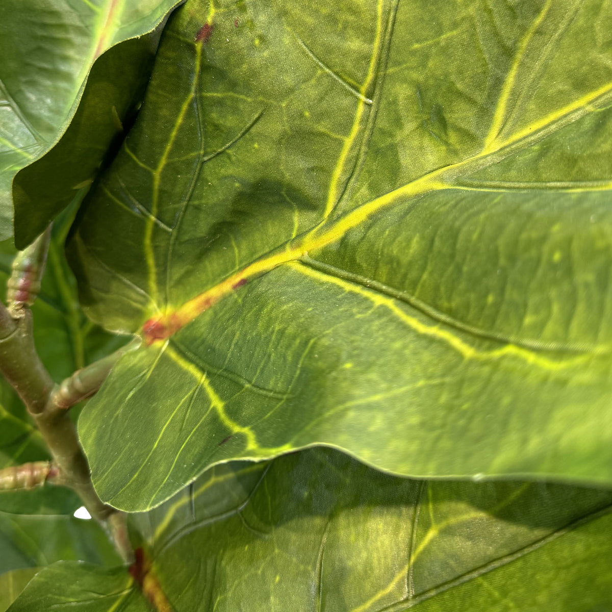 Geigenfeige Ficus Lyrata Kunstpflanze