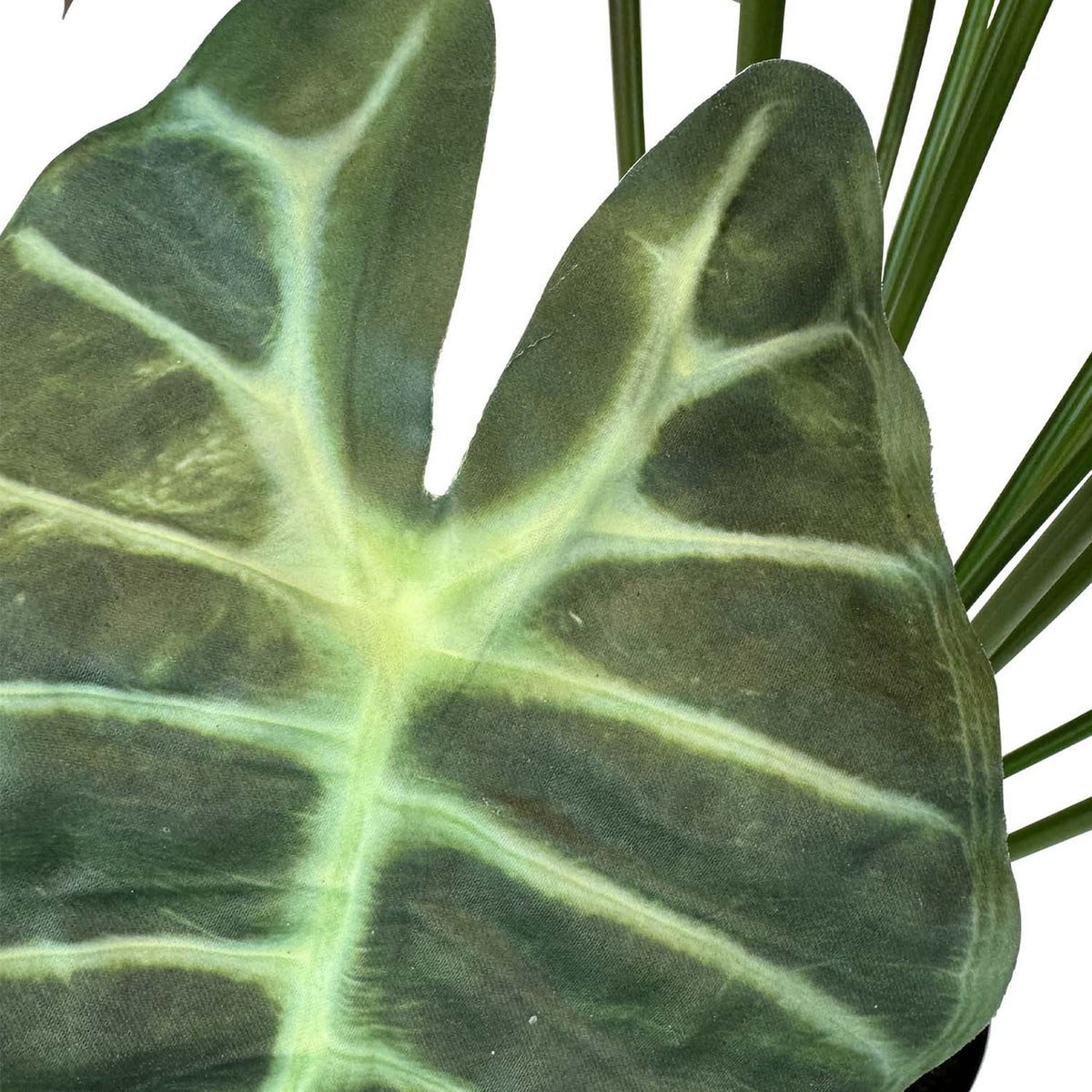 Alocasia - Elefantenohr Kunstpflanze