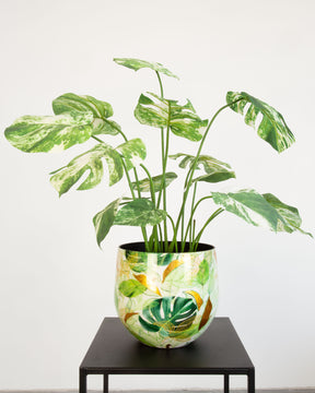 Fensterblatt Monstera Kunstpflanze