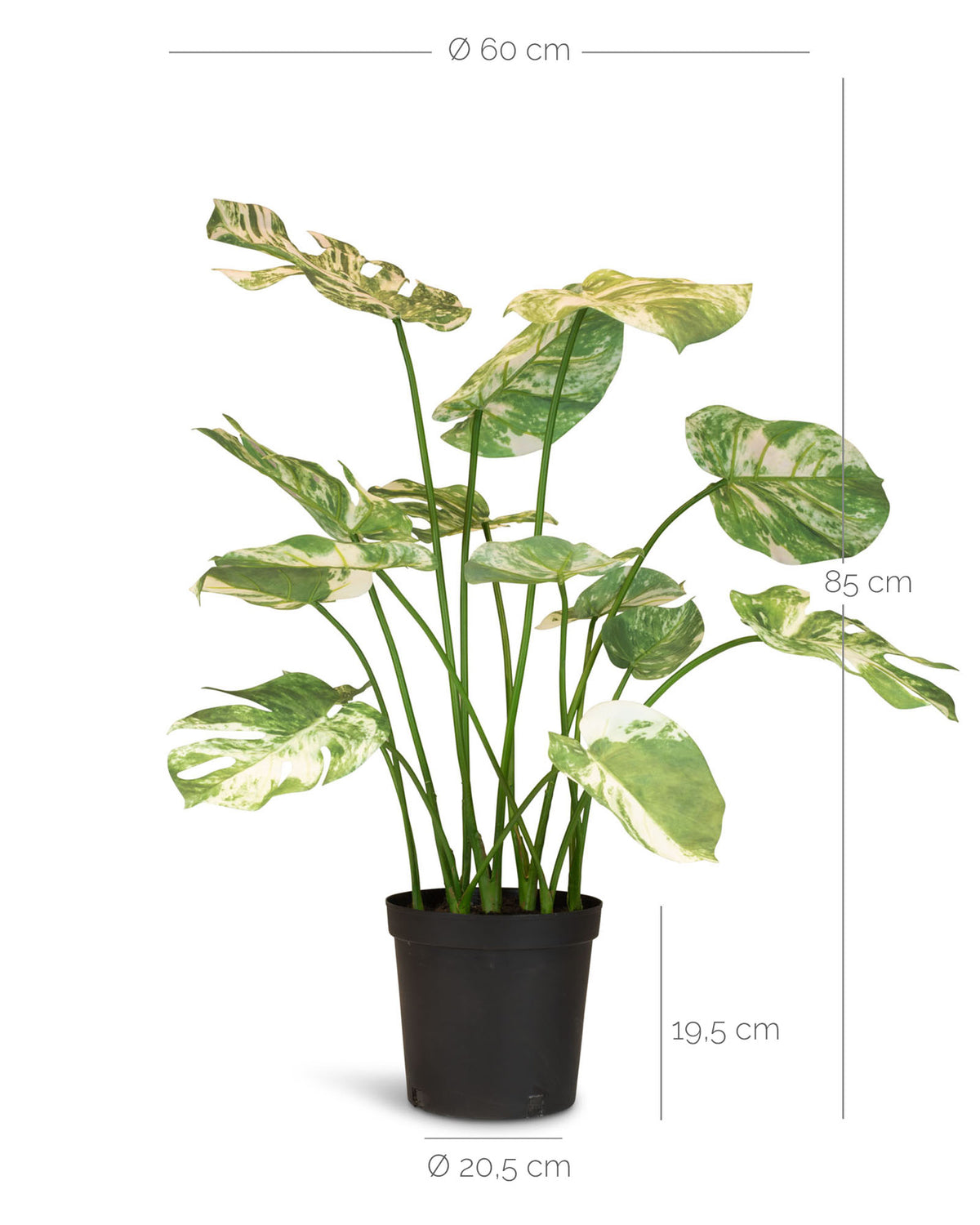 Fensterblatt Monstera Kunstpflanze