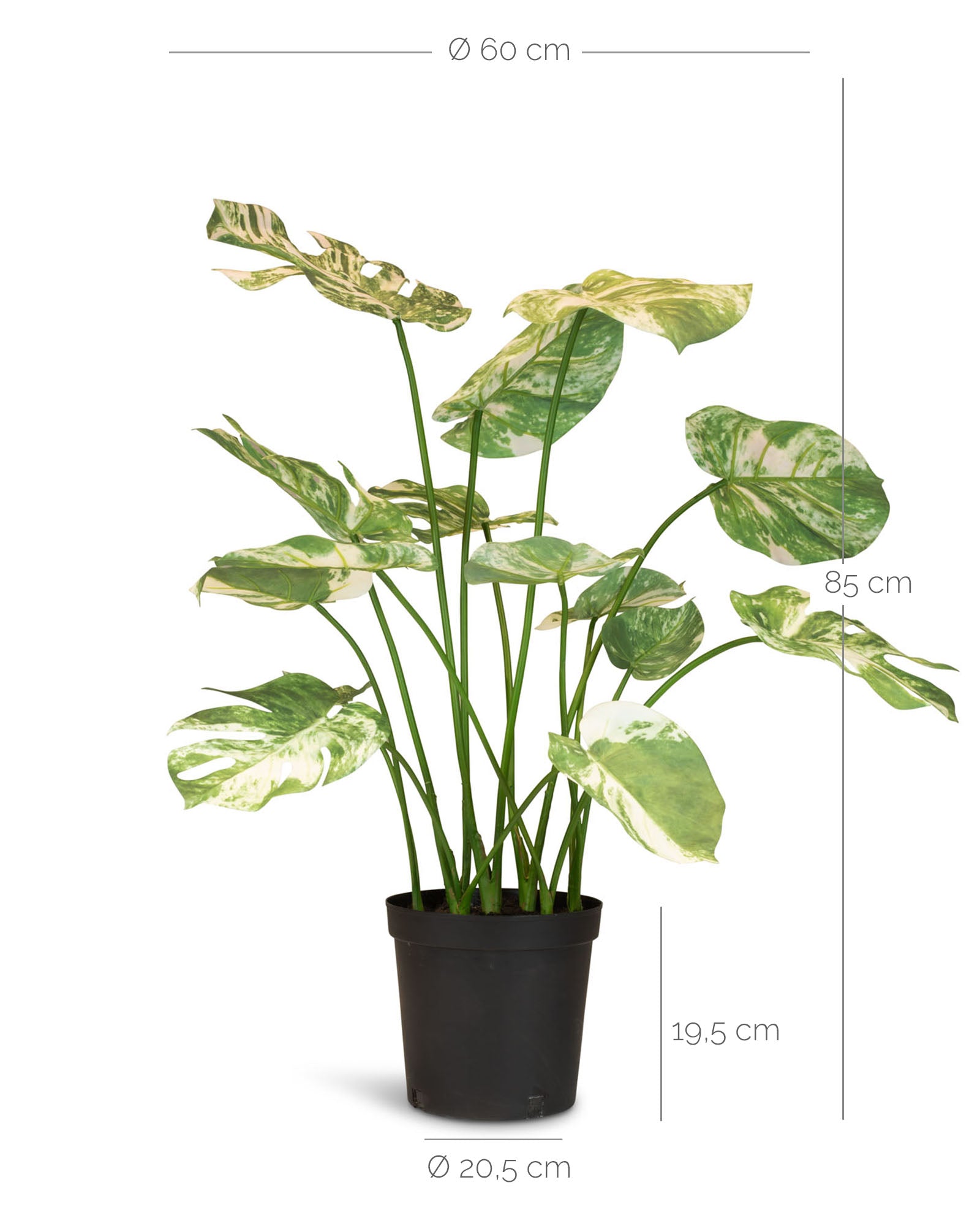 Fensterblatt Monstera Kunstpflanze