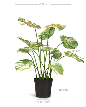 Fensterblatt Monstera Kunstpflanze