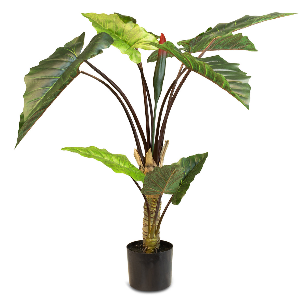 Regenbogen Alocasia Kunstpflanze