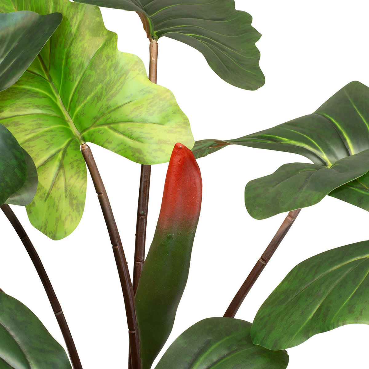 Regenbogen Alocasia Kunstpflanze