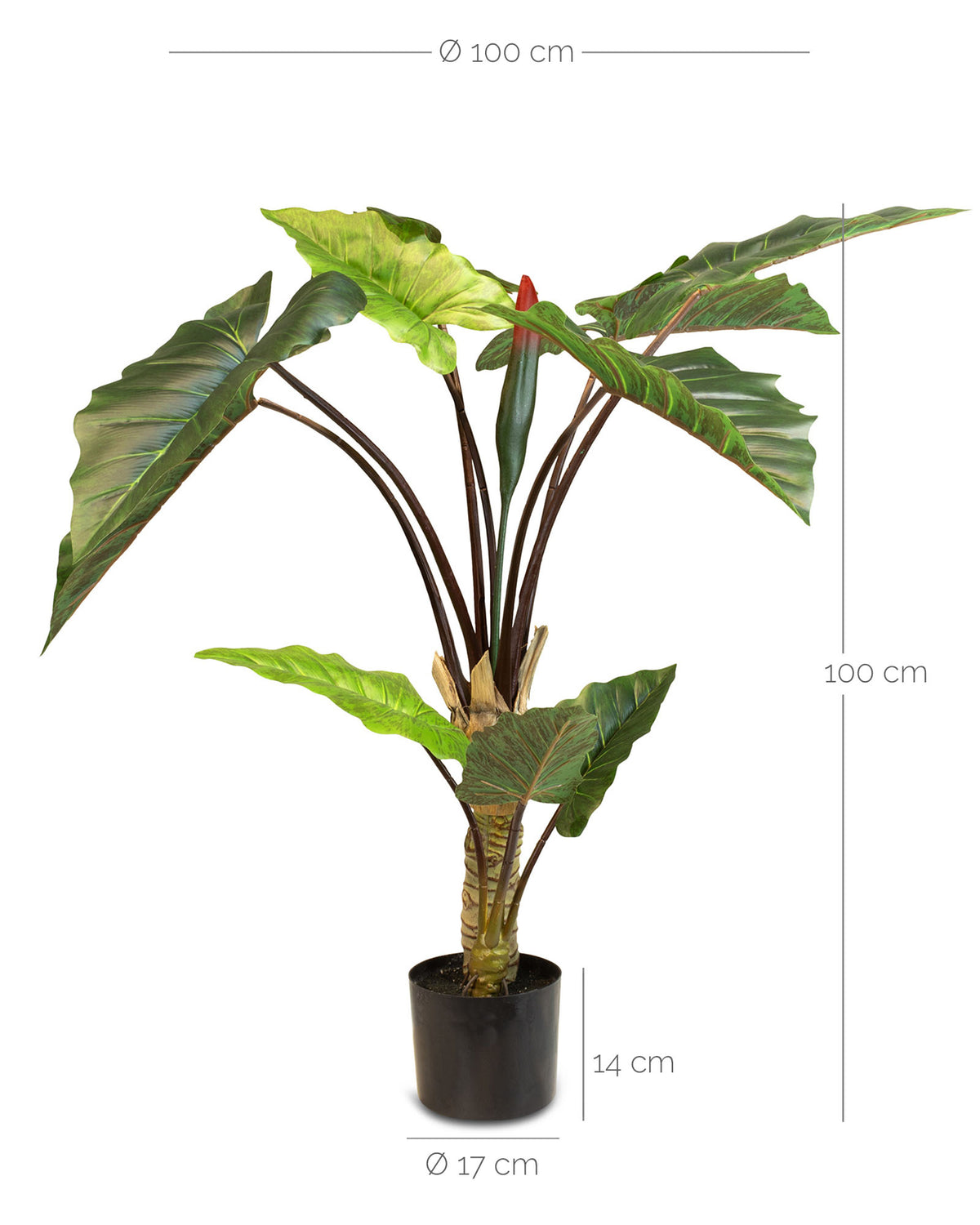 Regenbogen Alocasia Kunstpflanze