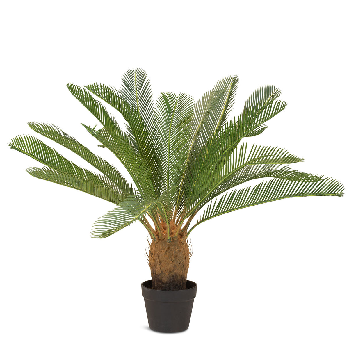 Palmfarn Cycas Kunstpflanze
