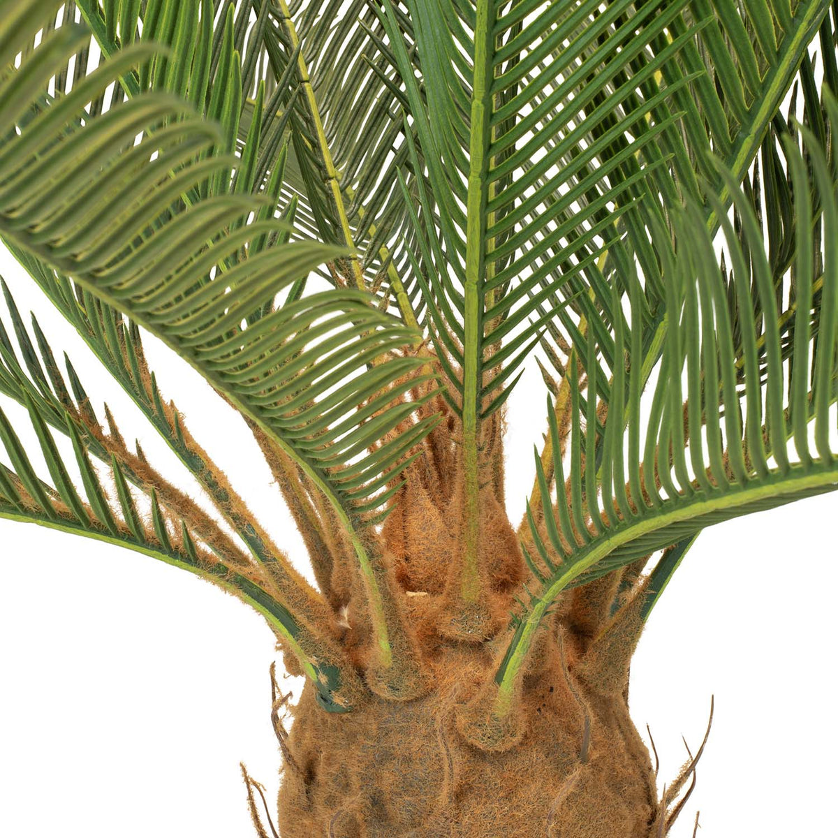 Palmfarn Cycas Kunstpflanze