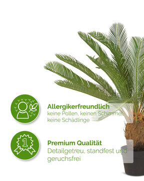 Palmfarn Cycas Kunstpflanze