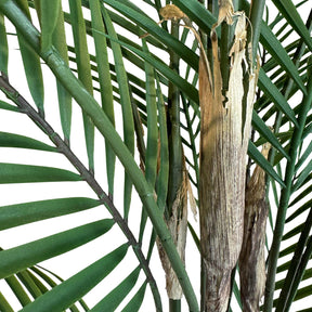 Goldfruchtpalme - Areca Palm Kunstpflanze