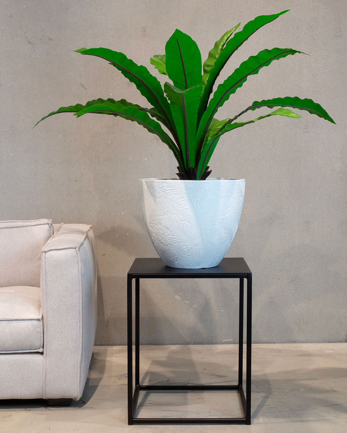 Nestfarn Asplenium nidus Kunstpflanze