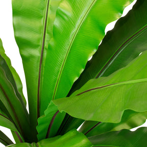 Nestfarn Asplenium nidus Kunstpflanze