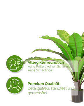Nestfarn Asplenium nidus Kunstpflanze