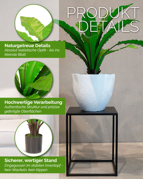 Nestfarn Asplenium nidus Kunstpflanze