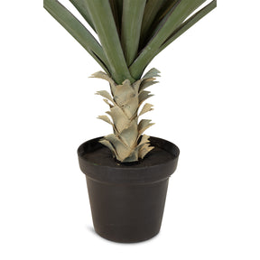 Sisal - Agave sisalana Kunstpflanze