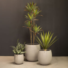 Sisal Agave Kunstpflanze