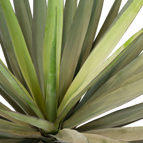 Sisal - Agave sisalana Kunstpflanze
