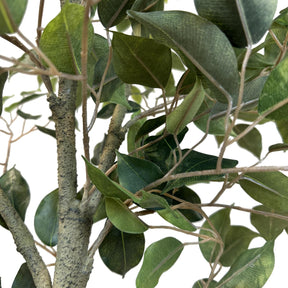 Ficus Tree - Birkenfeige Kunstpflanze
