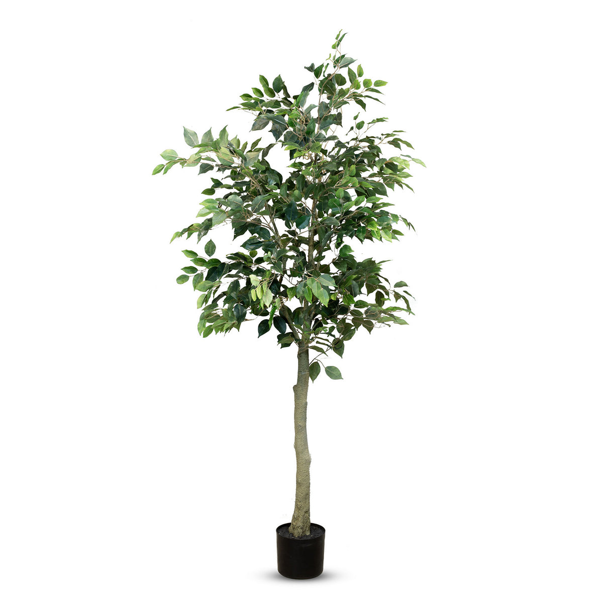 Ficus Tree - Birkenfeige Kunstpflanze