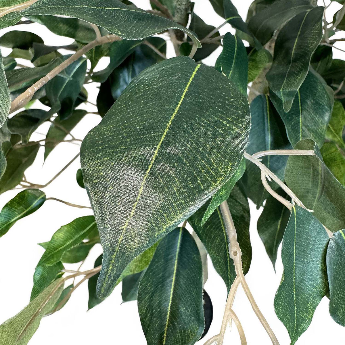 Ficus Tree - Birkenfeige Kunstpflanze