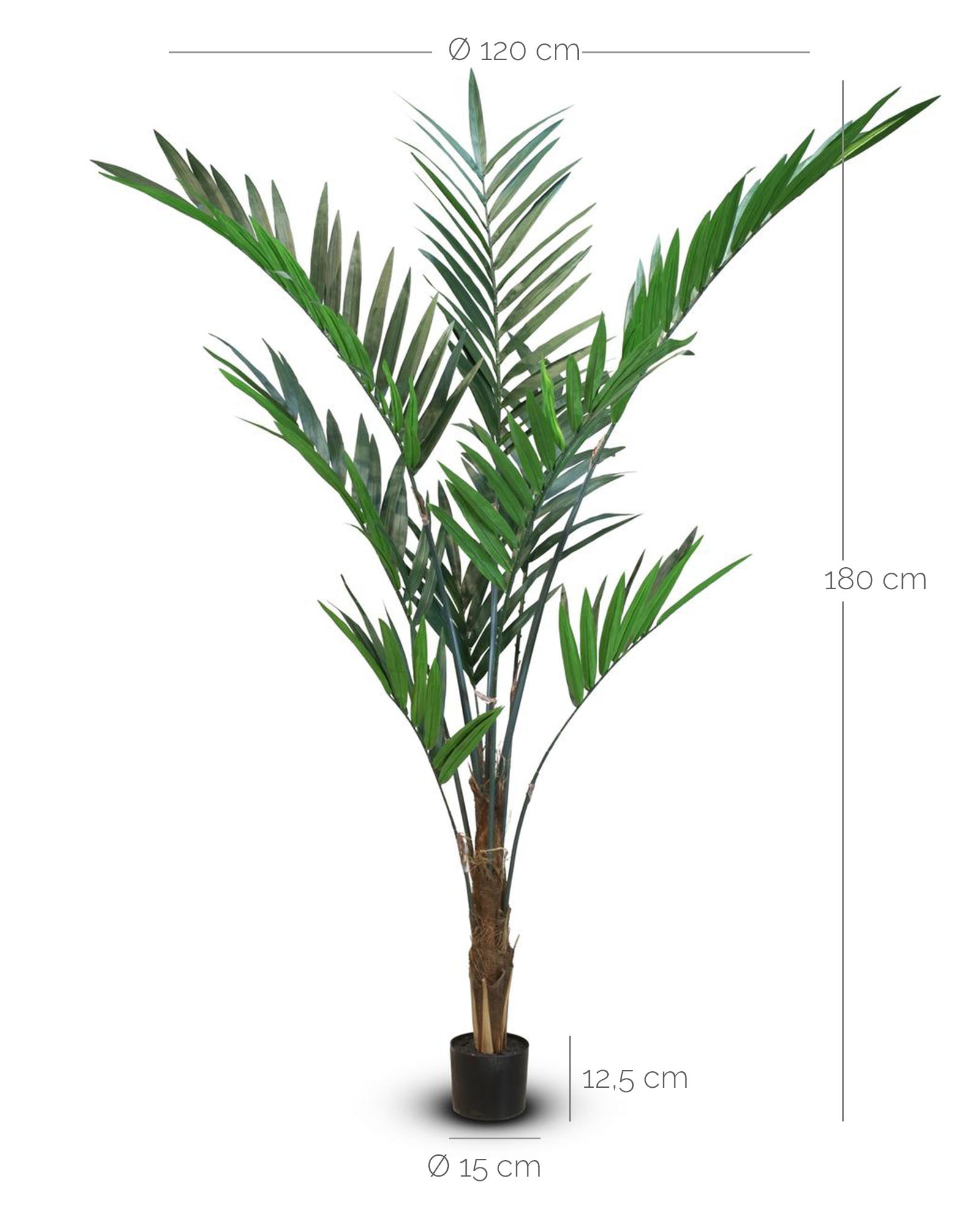 Forstersche Kentia Kunstpflanze