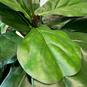 Geigenfeige - Ficus lyrata Kunstpflanze
