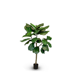 Geigenfeige - Ficus lyrata Kunstpflanze