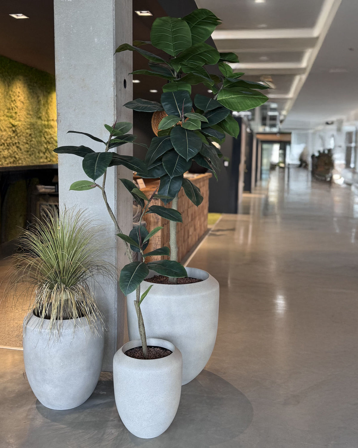 Ficus Elastica - Gummibaum Kunstpflanze