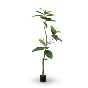 Ficus Elastica - Gummibaum Kunstpflanze