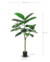 Ficus Elastica - Gummibaum Kunstpflanze