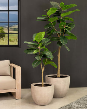 Ficus Elastica - Gummibaum Kunstpflanze