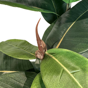 Ficus Elastica - Gummibaum Kunstpflanze