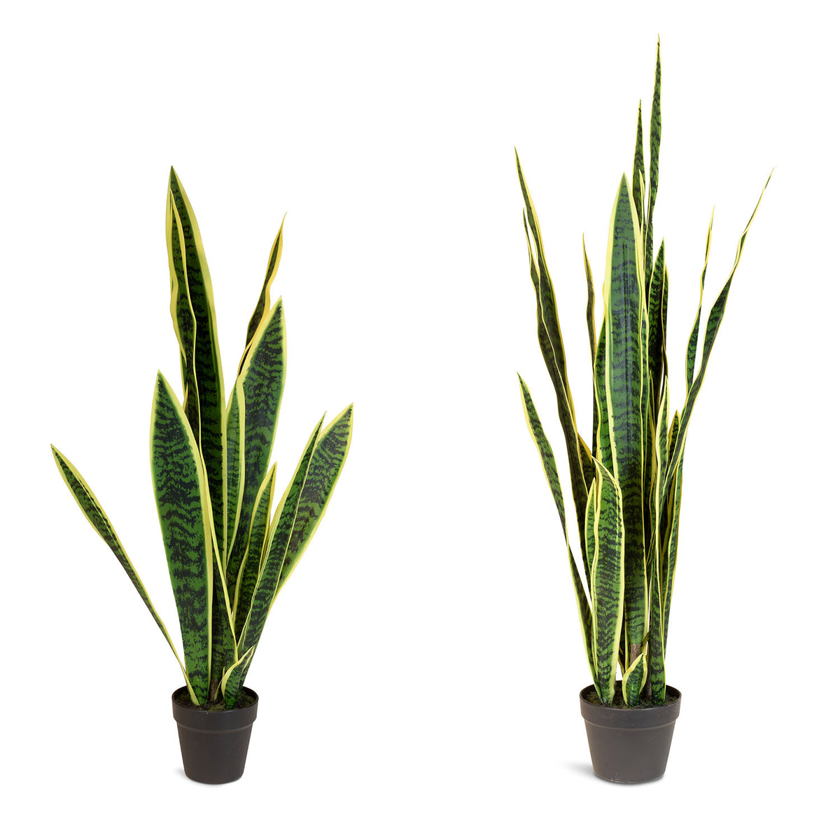 Bogenhanf - Sansevieria trifasciata Kunstpflanze