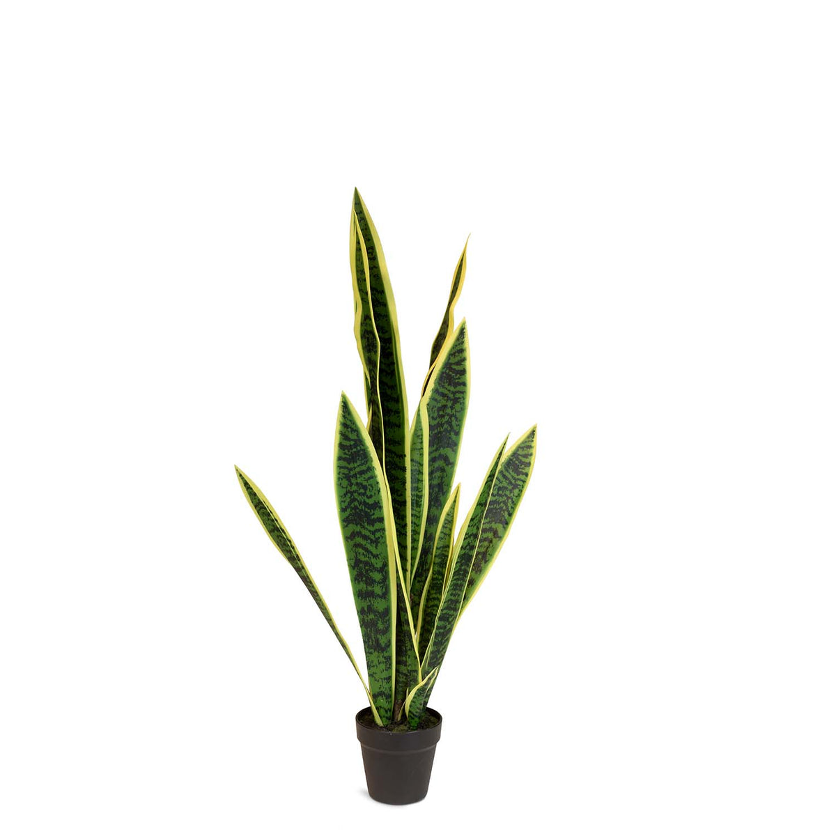Bogenhanf - Sansevieria trifasciata Kunstpflanze