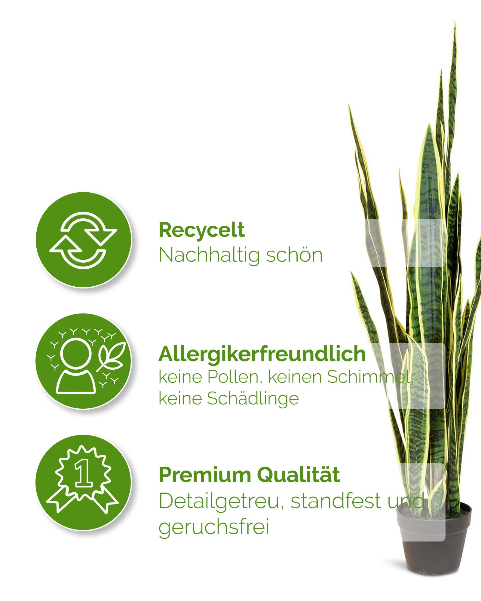 Bogenhanf - Sansevieria trifasciata Kunstpflanze