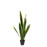 Bogenhanf - Sansevieria trifasciata Kunstpflanze