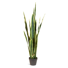 Bogenhanf - Sansevieria trifasciata Kunstpflanze