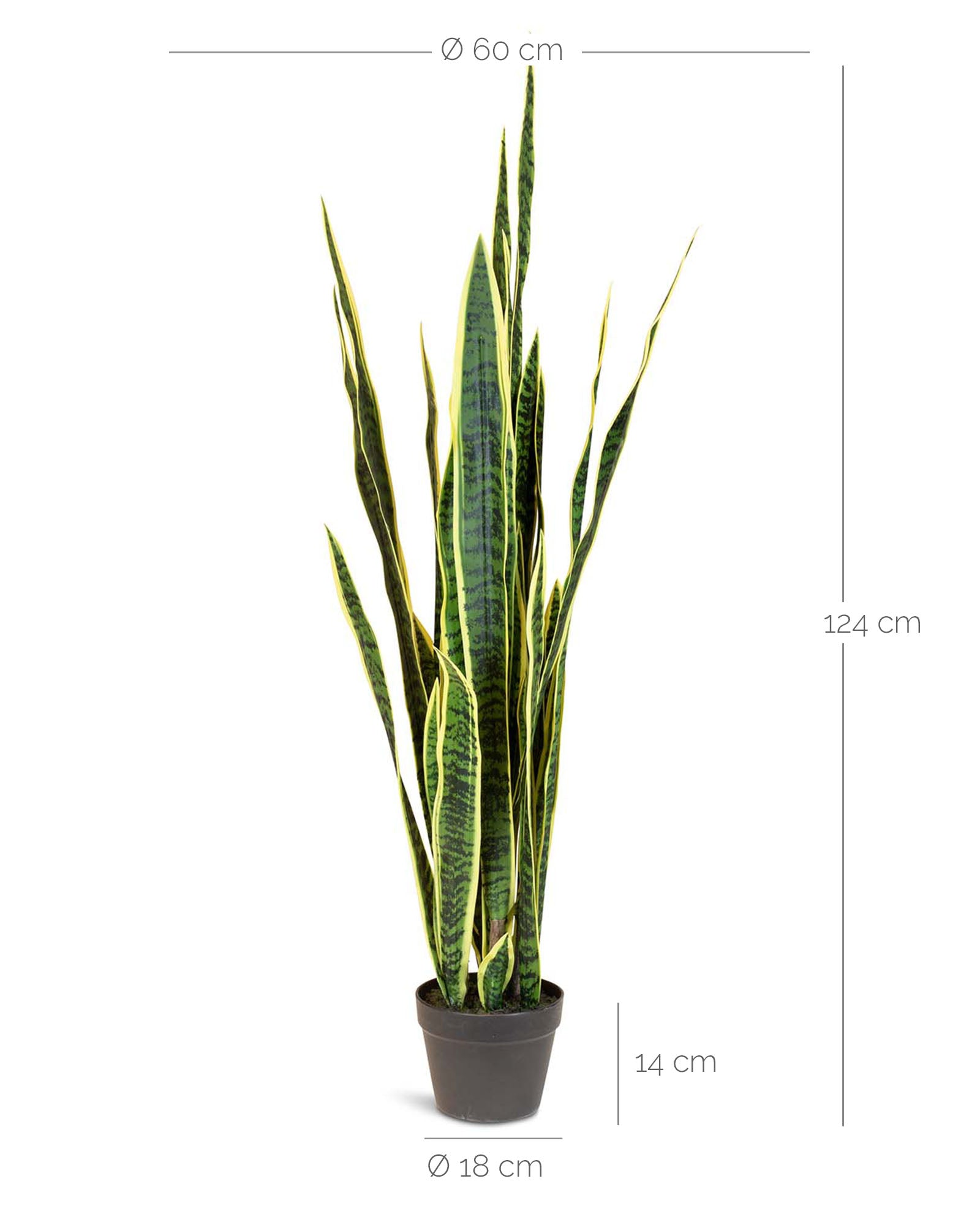 Bogenhanf - Sansevieria trifasciata Kunstpflanze
